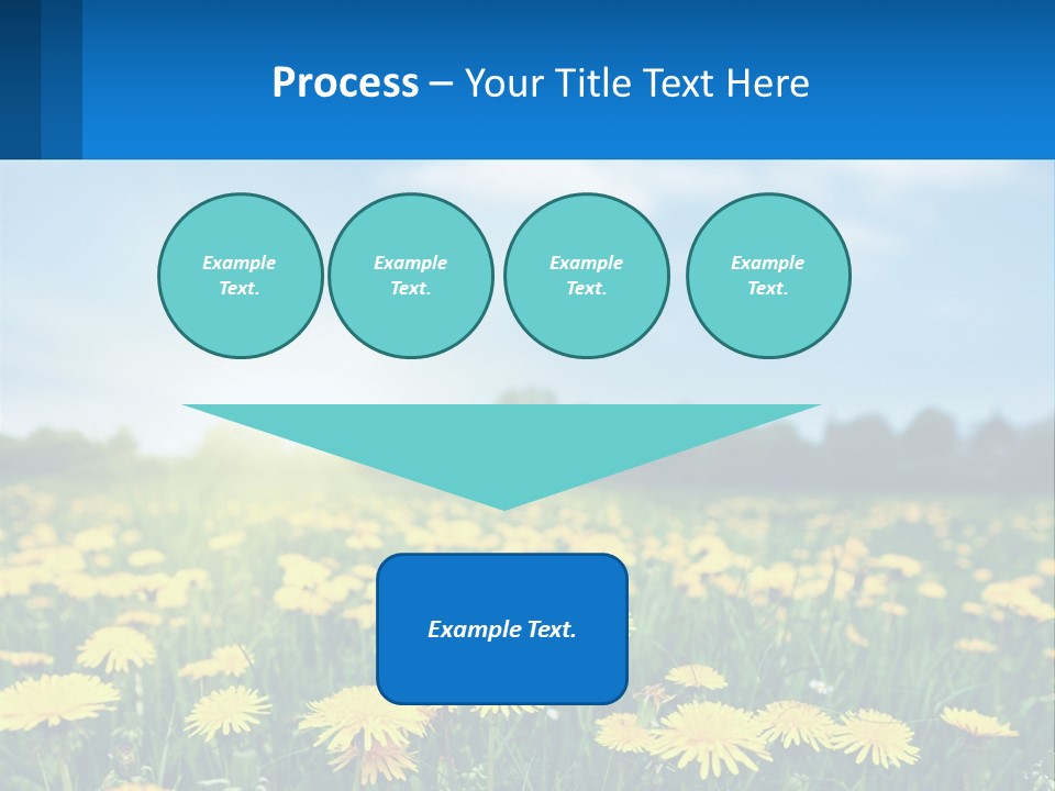A Field Full Of Yellow Dandelions Under A Blue Sky PowerPoint Template
