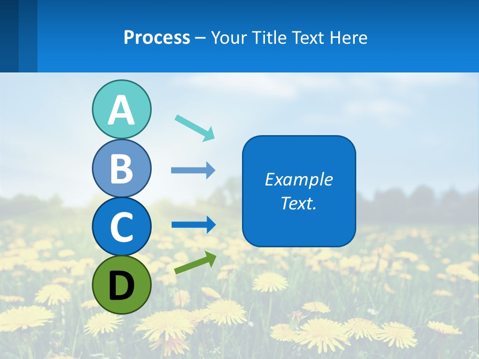 A Field Full Of Yellow Dandelions Under A Blue Sky PowerPoint Template