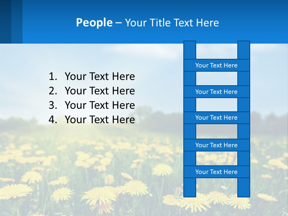 A Field Full Of Yellow Dandelions Under A Blue Sky PowerPoint Template