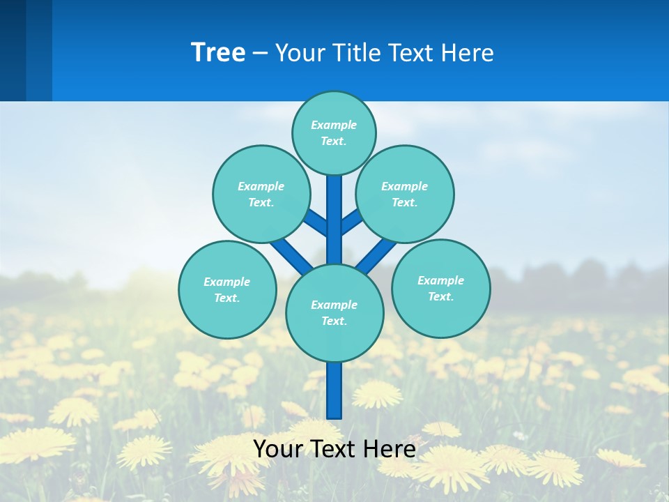 A Field Full Of Yellow Dandelions Under A Blue Sky PowerPoint Template