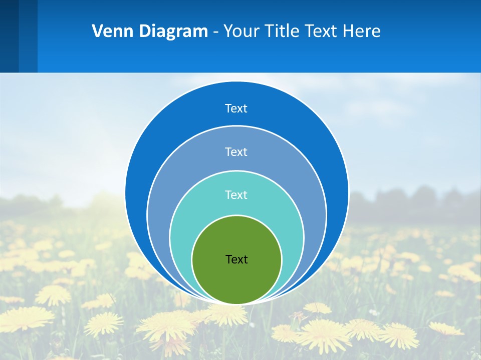 A Field Full Of Yellow Dandelions Under A Blue Sky PowerPoint Template