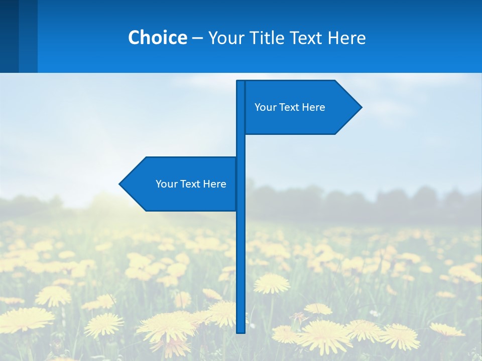 A Field Full Of Yellow Dandelions Under A Blue Sky PowerPoint Template