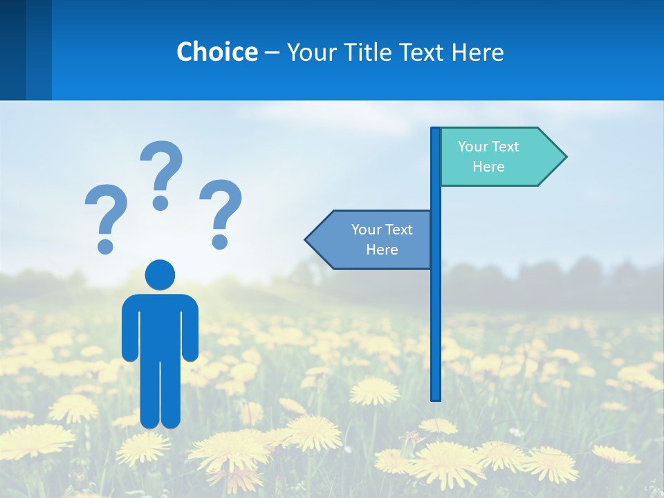 A Field Full Of Yellow Dandelions Under A Blue Sky PowerPoint Template