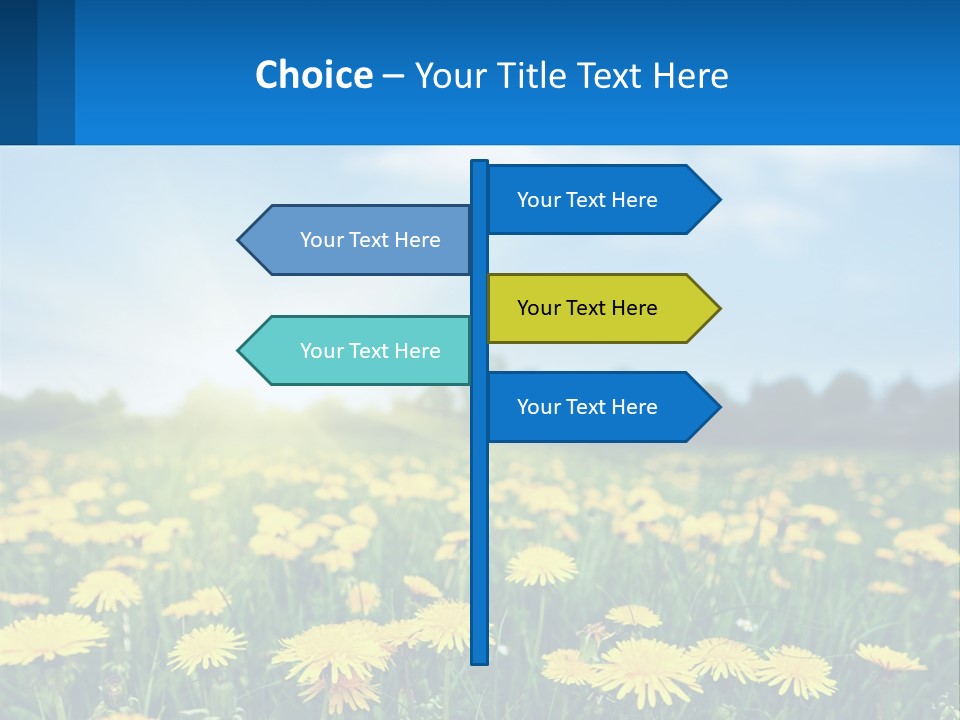A Field Full Of Yellow Dandelions Under A Blue Sky PowerPoint Template