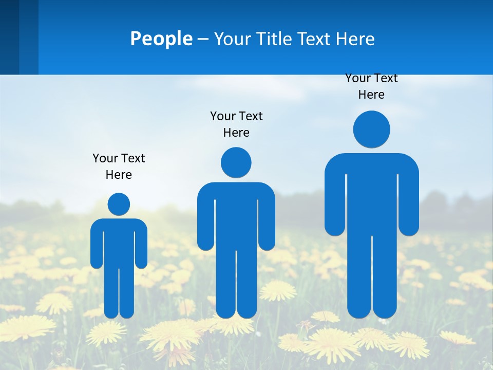 A Field Full Of Yellow Dandelions Under A Blue Sky PowerPoint Template