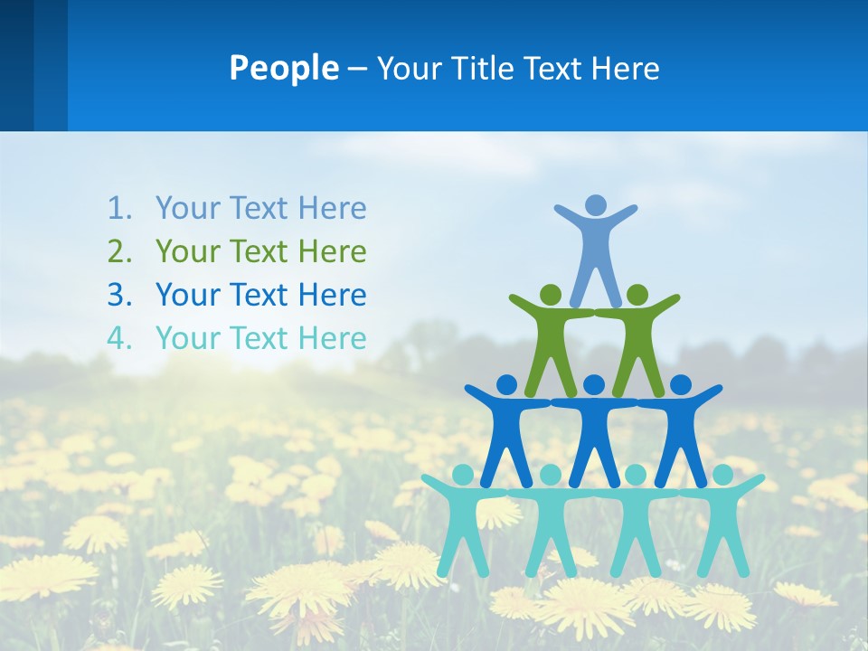 A Field Full Of Yellow Dandelions Under A Blue Sky PowerPoint Template