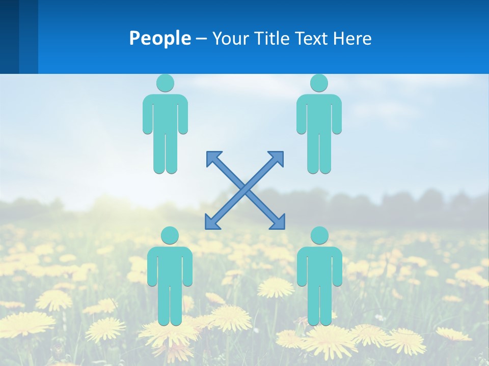 A Field Full Of Yellow Dandelions Under A Blue Sky PowerPoint Template