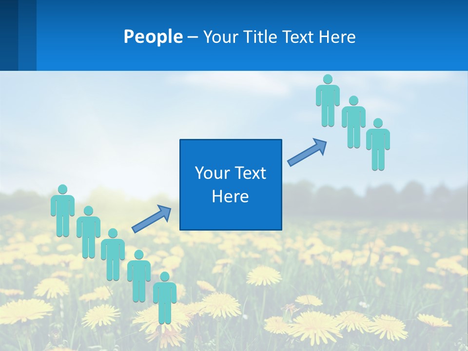 A Field Full Of Yellow Dandelions Under A Blue Sky PowerPoint Template