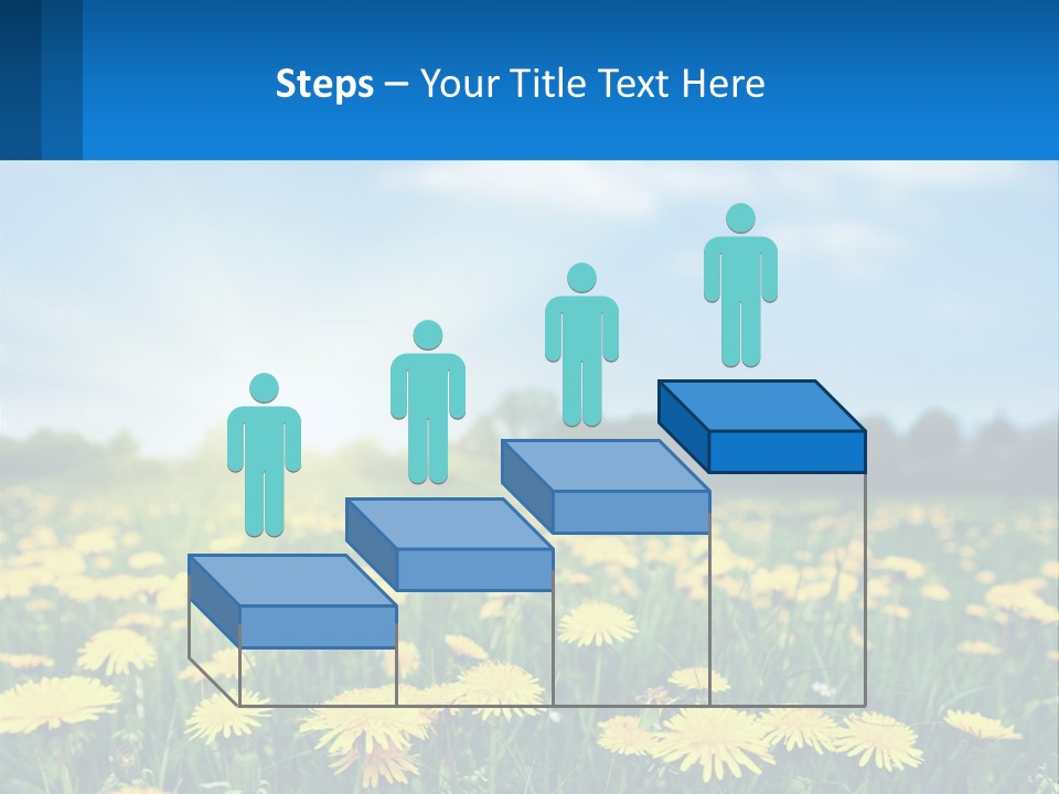 A Field Full Of Yellow Dandelions Under A Blue Sky PowerPoint Template