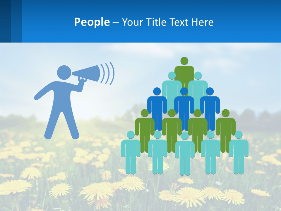 A Field Full Of Yellow Dandelions Under A Blue Sky PowerPoint Template
