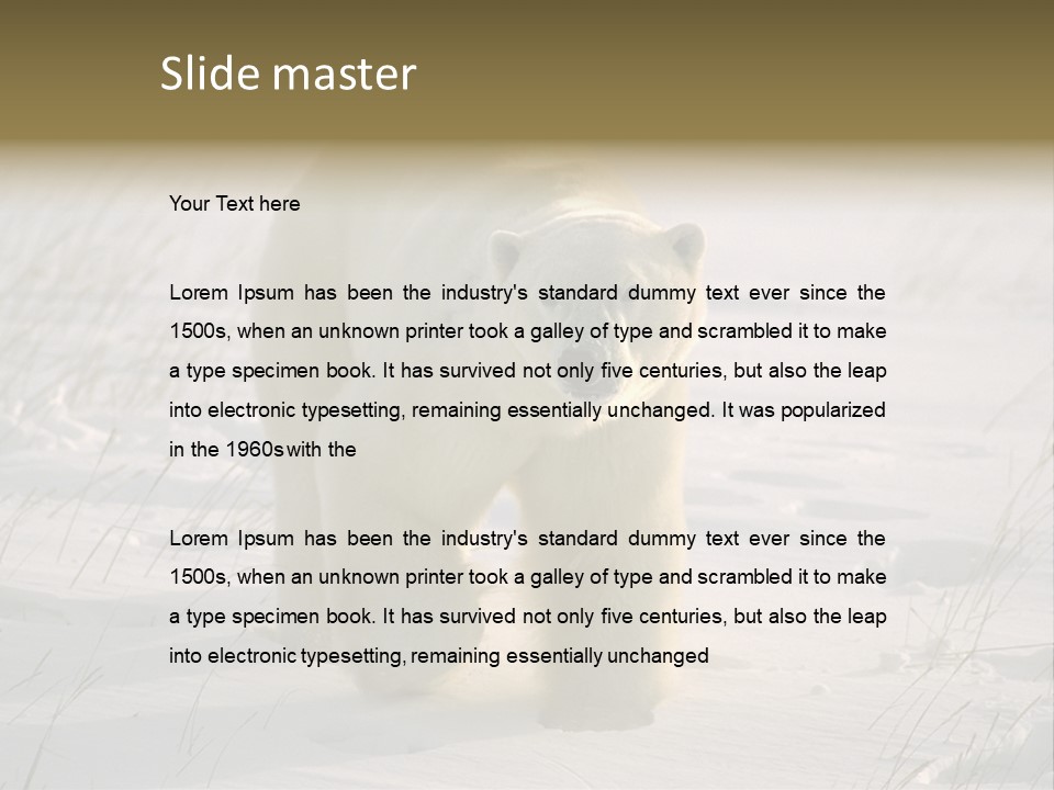 A Polar Bear Is Walking Through The Snow PowerPoint Template