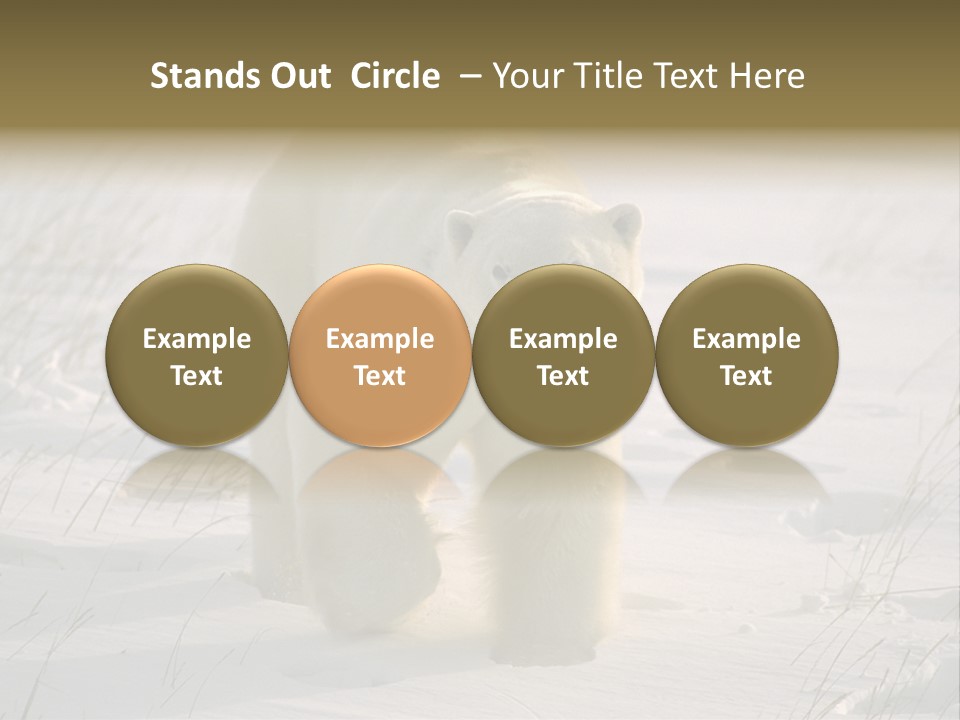 A Polar Bear Is Walking Through The Snow PowerPoint Template