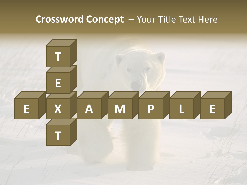 A Polar Bear Is Walking Through The Snow PowerPoint Template