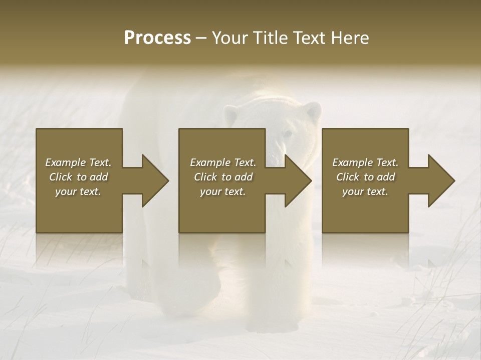 A Polar Bear Is Walking Through The Snow PowerPoint Template