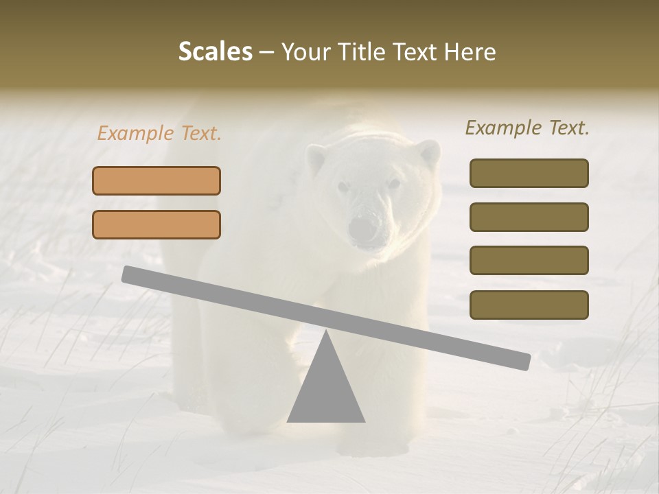 A Polar Bear Is Walking Through The Snow PowerPoint Template