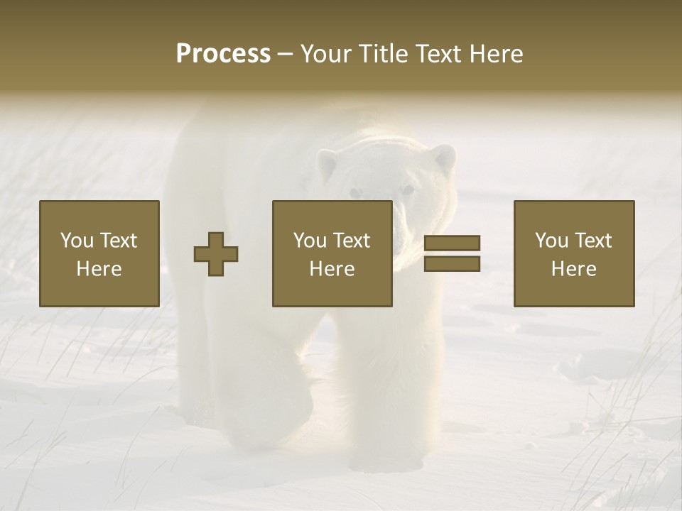 A Polar Bear Is Walking Through The Snow PowerPoint Template
