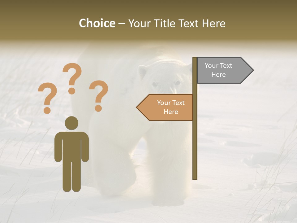 A Polar Bear Is Walking Through The Snow PowerPoint Template