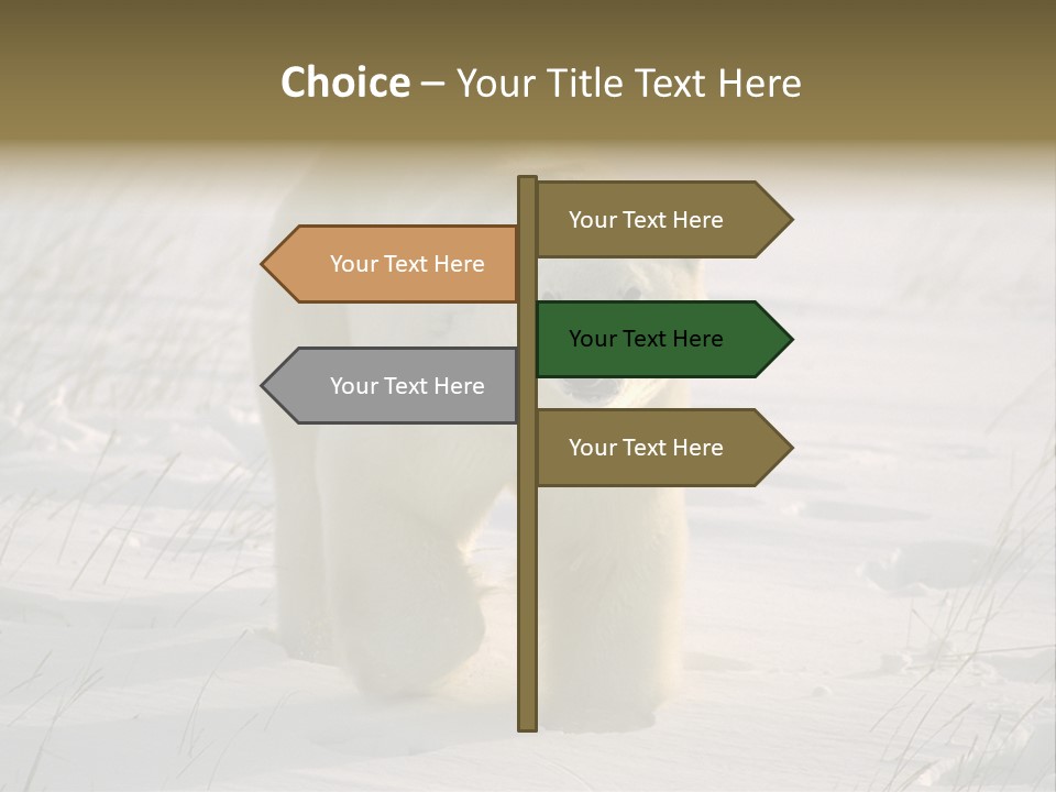 A Polar Bear Is Walking Through The Snow PowerPoint Template