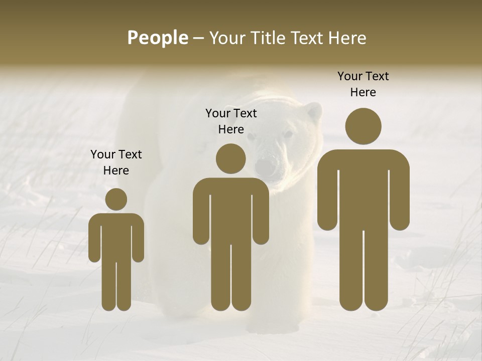 A Polar Bear Is Walking Through The Snow PowerPoint Template