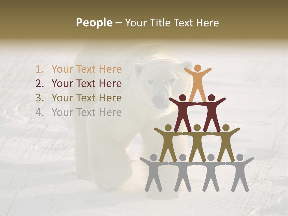 A Polar Bear Is Walking Through The Snow PowerPoint Template