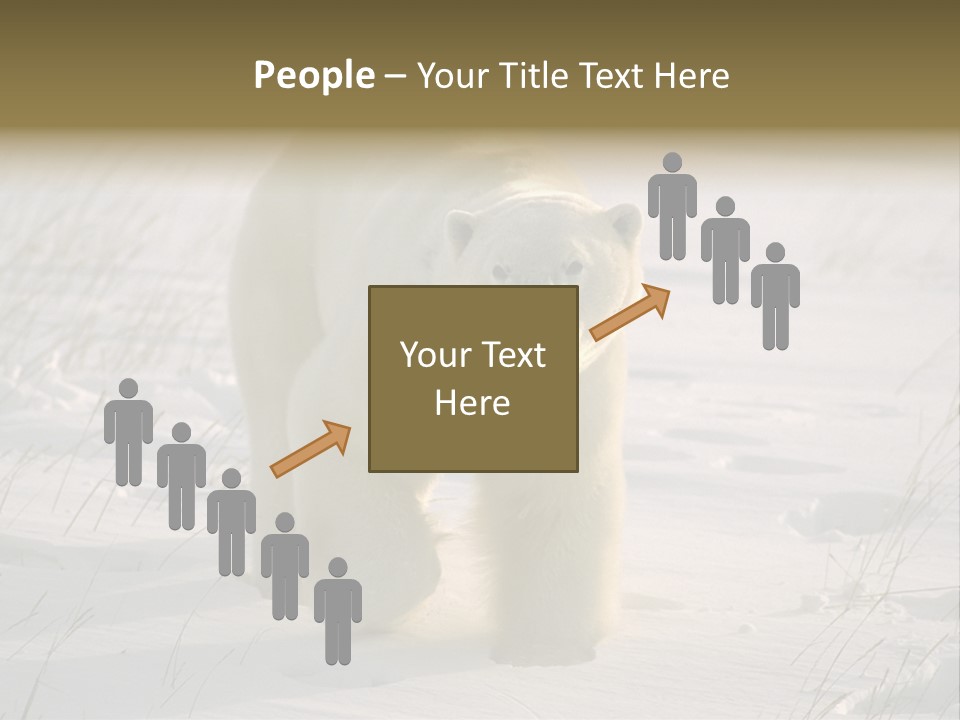 A Polar Bear Is Walking Through The Snow PowerPoint Template
