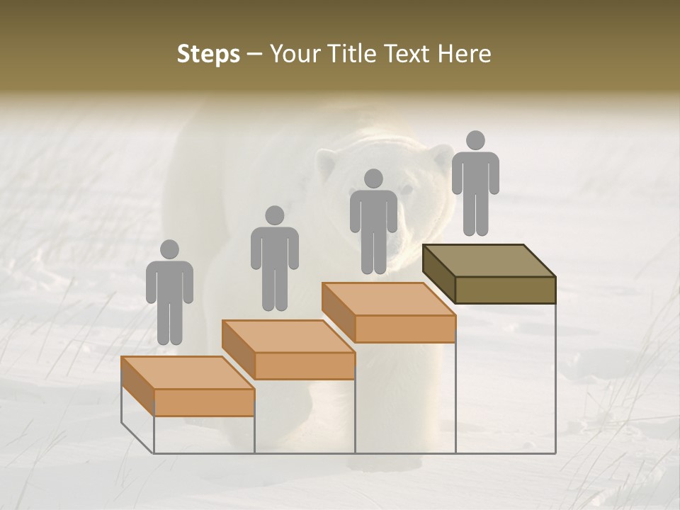 A Polar Bear Is Walking Through The Snow PowerPoint Template