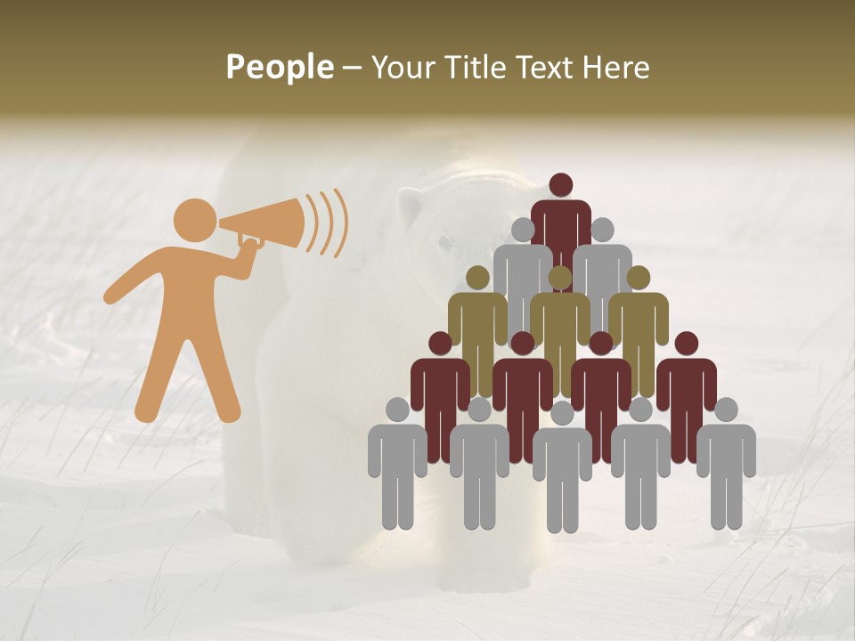 A Polar Bear Is Walking Through The Snow PowerPoint Template