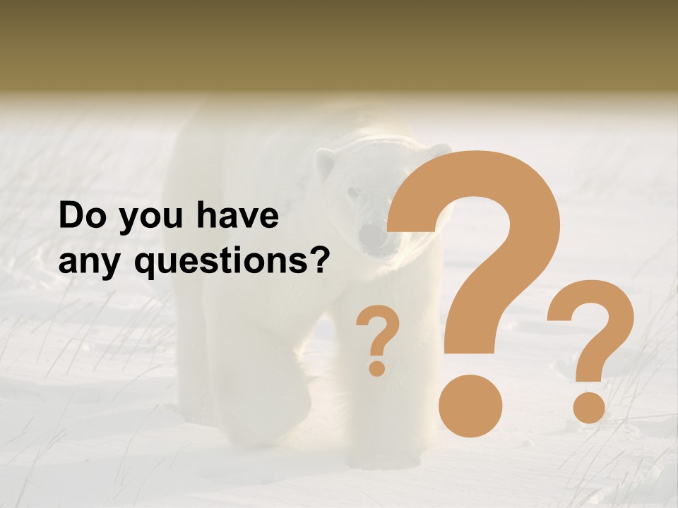 A Polar Bear Is Walking Through The Snow PowerPoint Template
