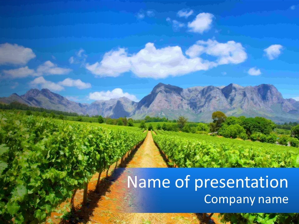 A Vineyard Field With Mountains In The Background PowerPoint Template