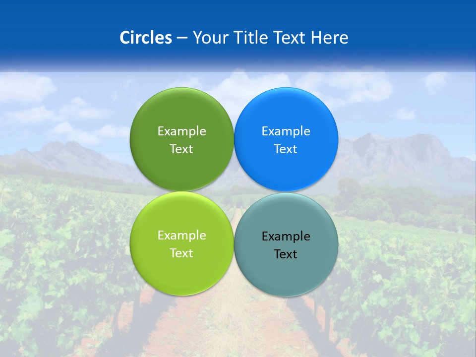 A Vineyard Field With Mountains In The Background PowerPoint Template