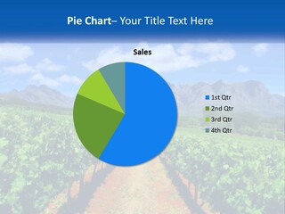 A Vineyard Field With Mountains In The Background PowerPoint Template