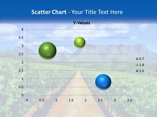 A Vineyard Field With Mountains In The Background PowerPoint Template