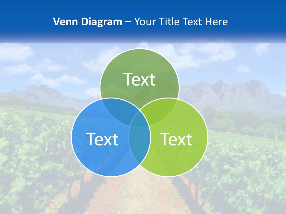 A Vineyard Field With Mountains In The Background PowerPoint Template
