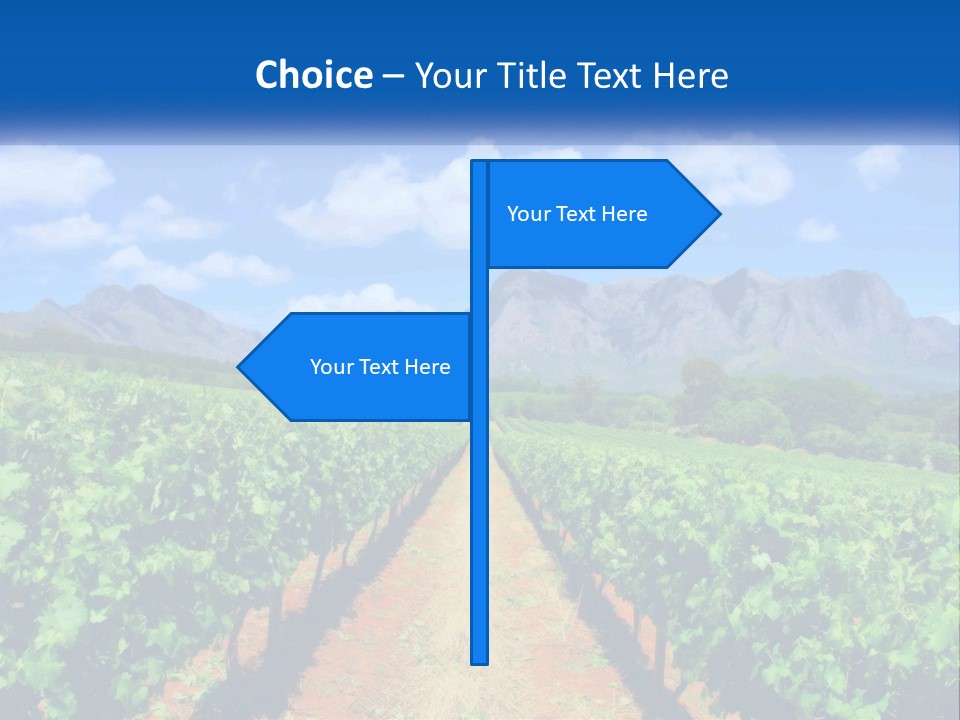 A Vineyard Field With Mountains In The Background PowerPoint Template