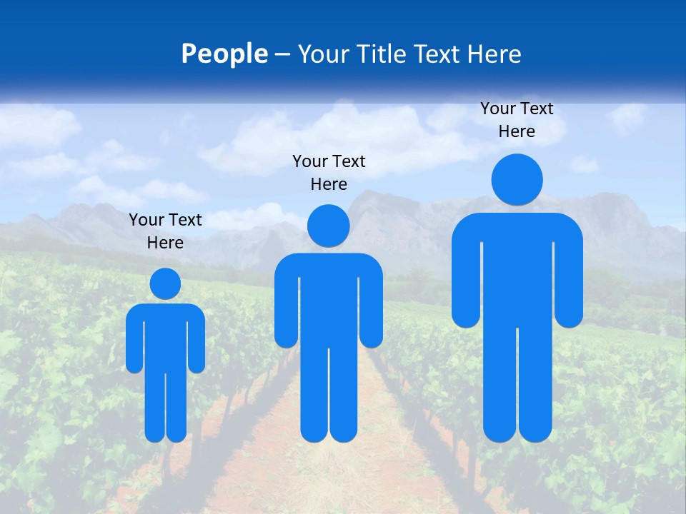 A Vineyard Field With Mountains In The Background PowerPoint Template