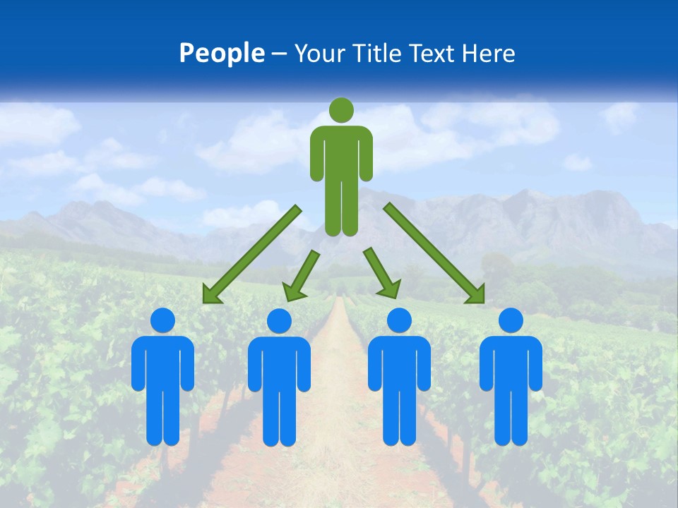 A Vineyard Field With Mountains In The Background PowerPoint Template