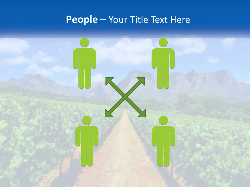 A Vineyard Field With Mountains In The Background PowerPoint Template