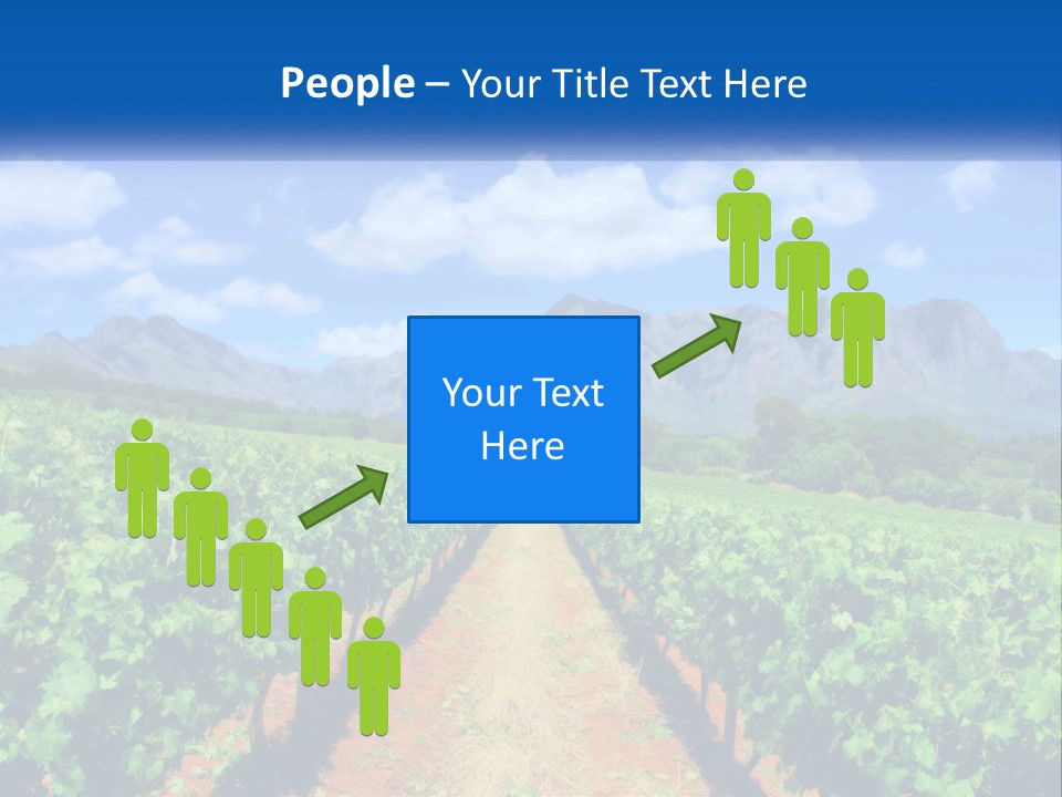 A Vineyard Field With Mountains In The Background PowerPoint Template