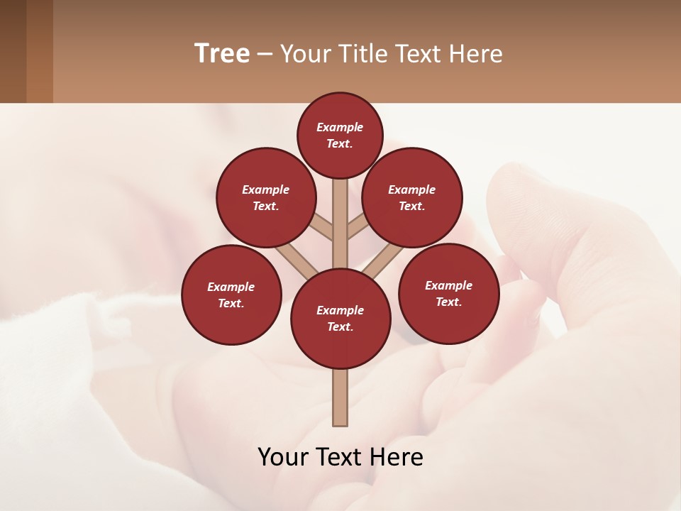 A Person Holding A Baby In Their Hands PowerPoint Template