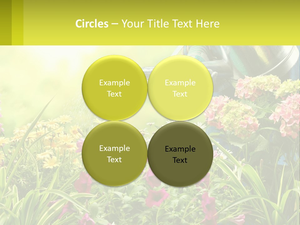 A Person Watering Flowers With A Watering Can PowerPoint Template