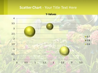 A Person Watering Flowers With A Watering Can PowerPoint Template