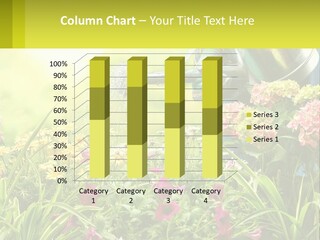 A Person Watering Flowers With A Watering Can PowerPoint Template