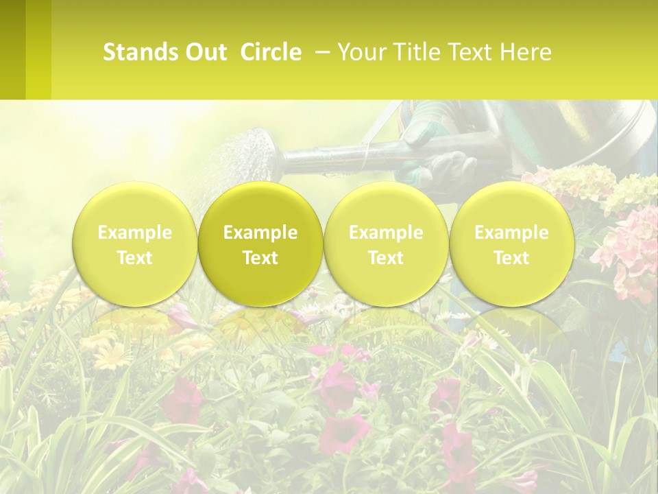 A Person Watering Flowers With A Watering Can PowerPoint Template