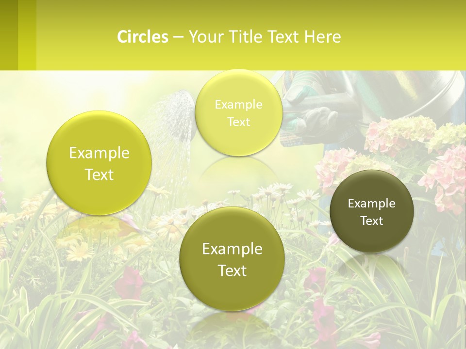 A Person Watering Flowers With A Watering Can PowerPoint Template