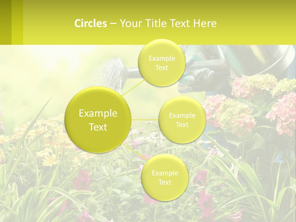 A Person Watering Flowers With A Watering Can PowerPoint Template