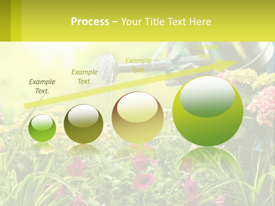 A Person Watering Flowers With A Watering Can PowerPoint Template