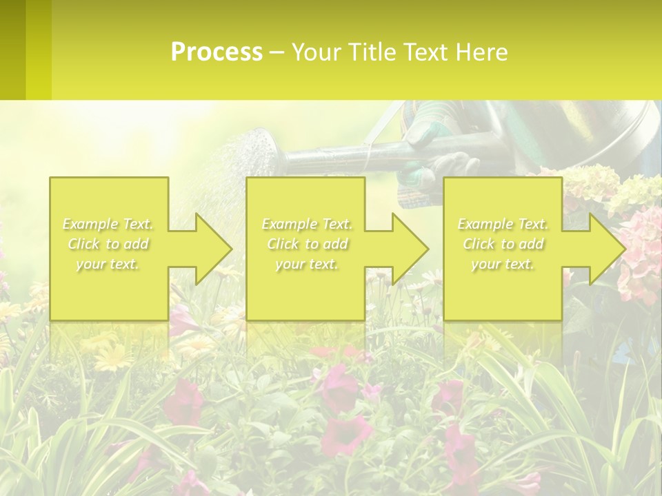 A Person Watering Flowers With A Watering Can PowerPoint Template