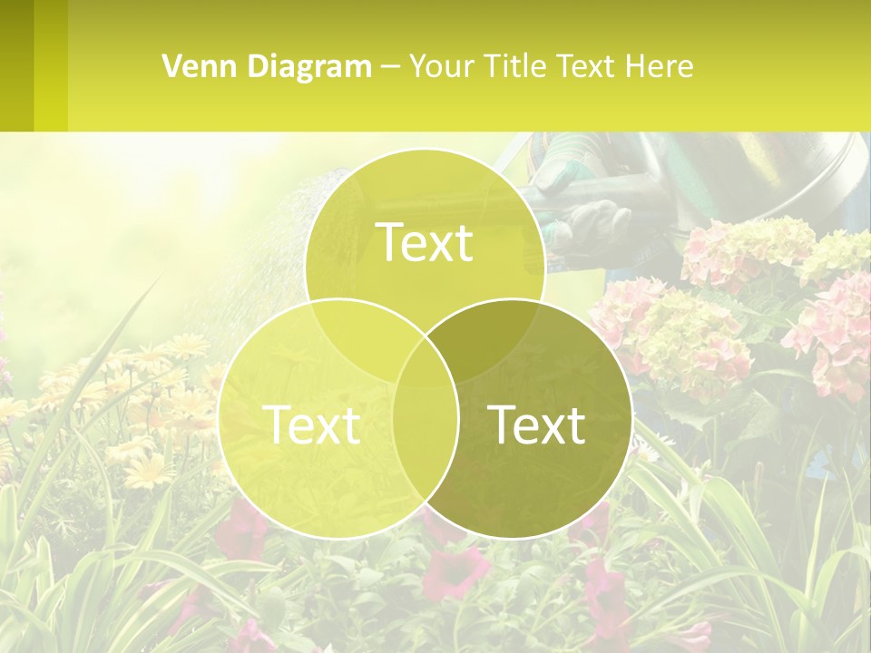 A Person Watering Flowers With A Watering Can PowerPoint Template
