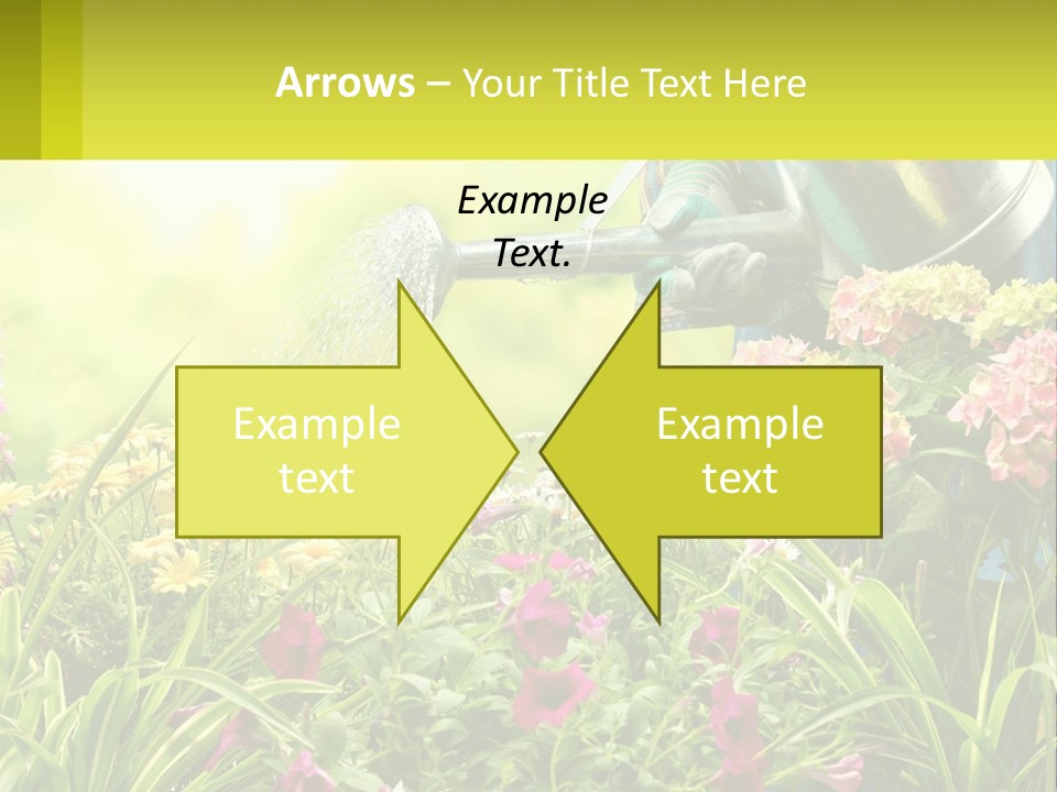 A Person Watering Flowers With A Watering Can PowerPoint Template
