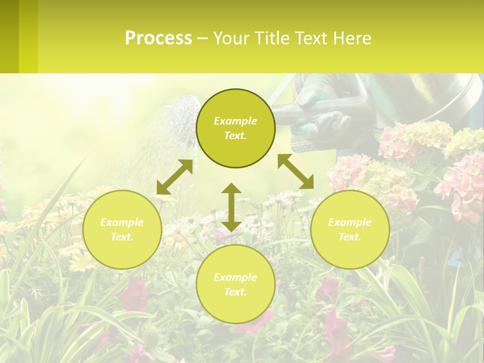 A Person Watering Flowers With A Watering Can PowerPoint Template
